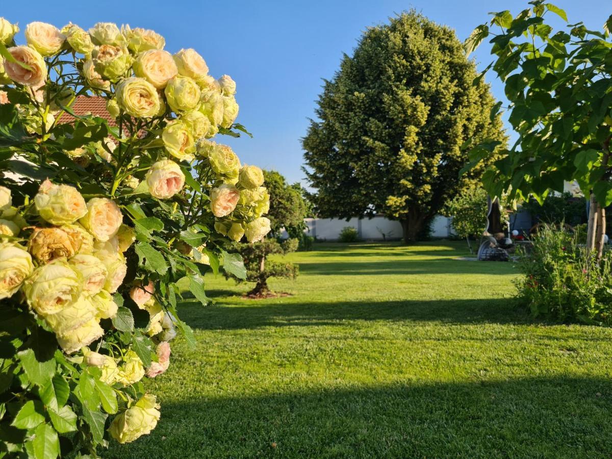 Pension Sonnenhof Moerbisch Am See Exterior photo